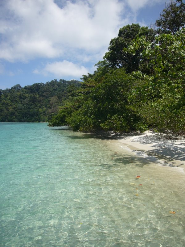 The island is inhabited only by two dogs.